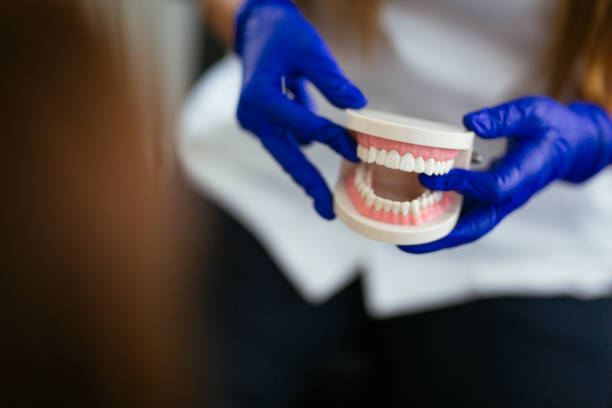 Why Choose Us for Your Dental Needs in Jensen Beach, FL